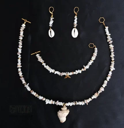سرویس ساحلی صدف و وال