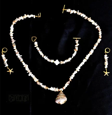 سرویس ساحلی صدف