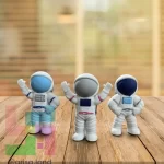 پاک کن فضانورد