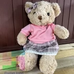 عروسک تدی پولیشی