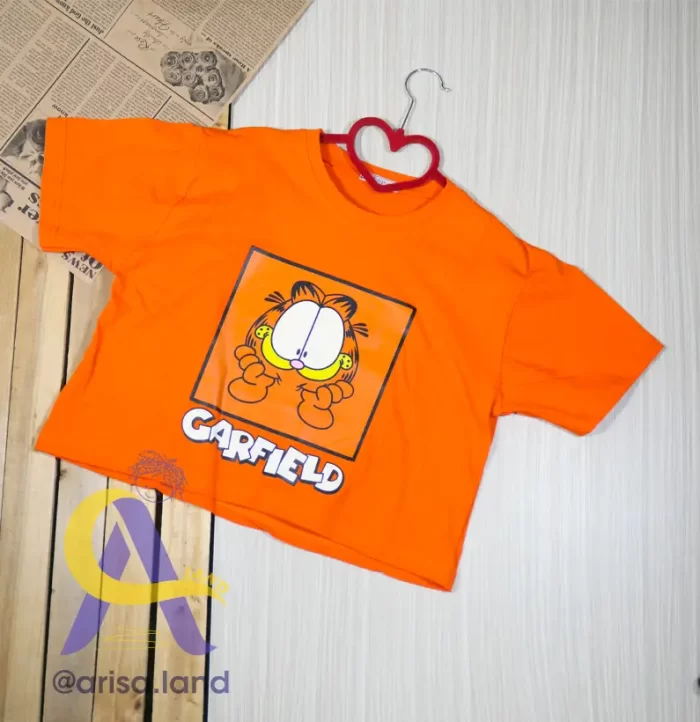 garfield 06