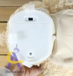 خرس دالی - Image 4