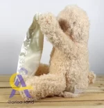 خرس دالی - Image 6