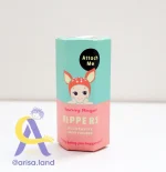 مینی فیگور سونی آنجل Sonny Angel Hippers 
